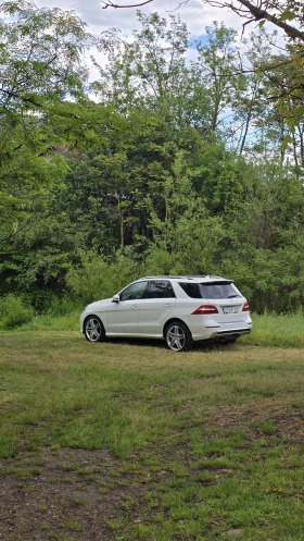 Mercedes-Benz ML 350 BlueTec Offroad Pack | Mobile.bg    11