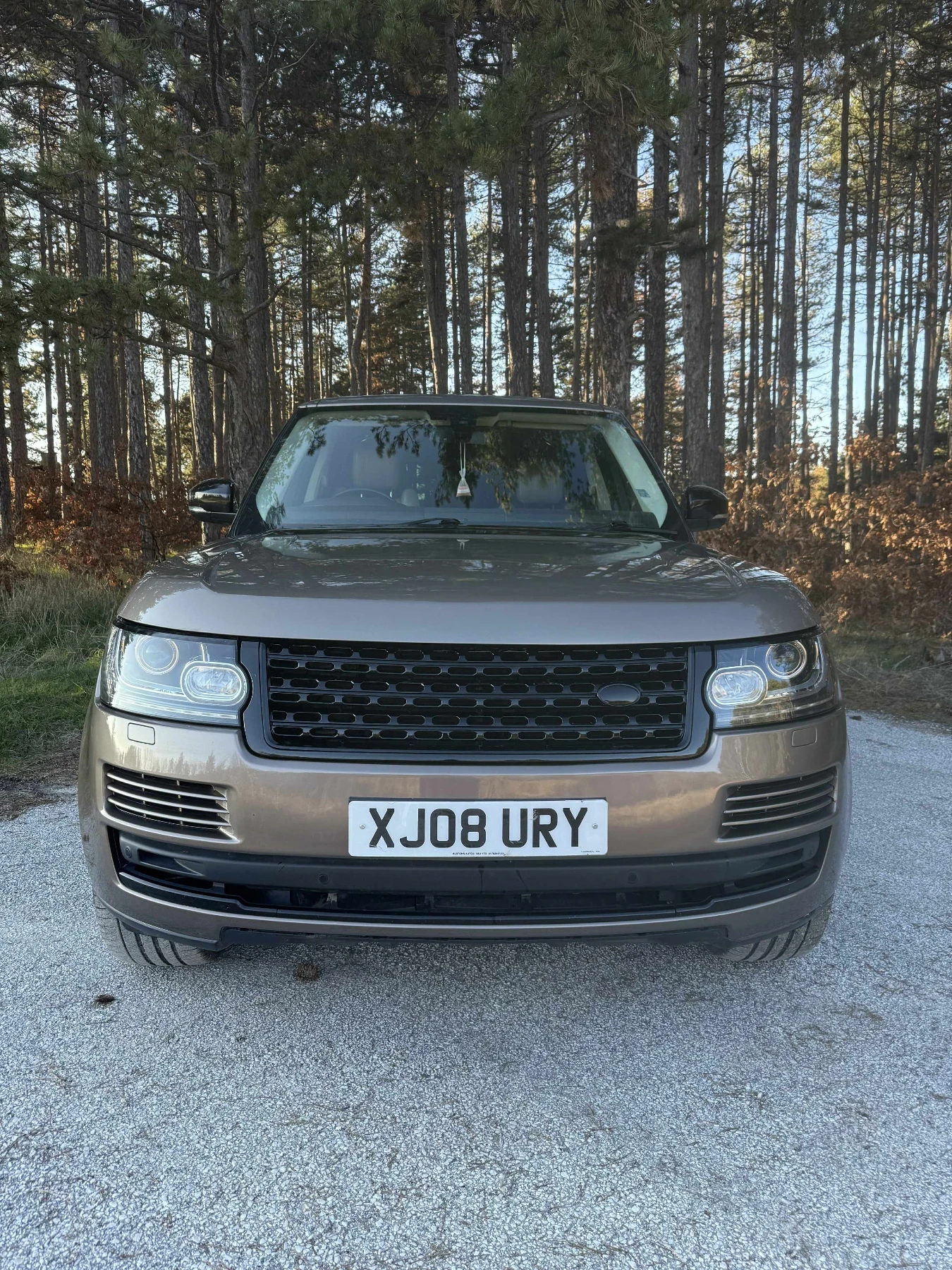 Land Rover Range rover LAND ROVER EVOG - изображение 3