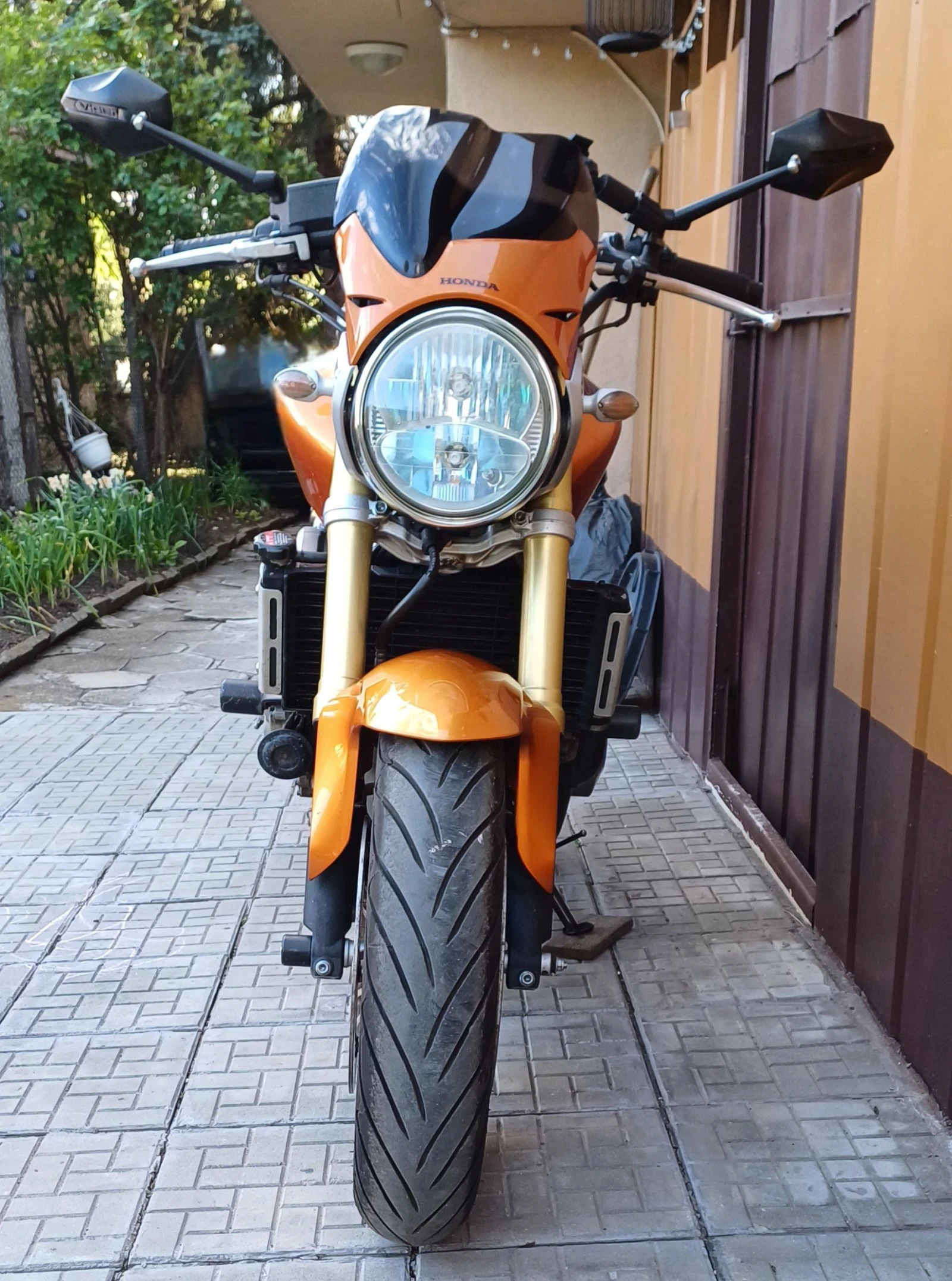 Honda Hornet CB 600 F - изображение 5