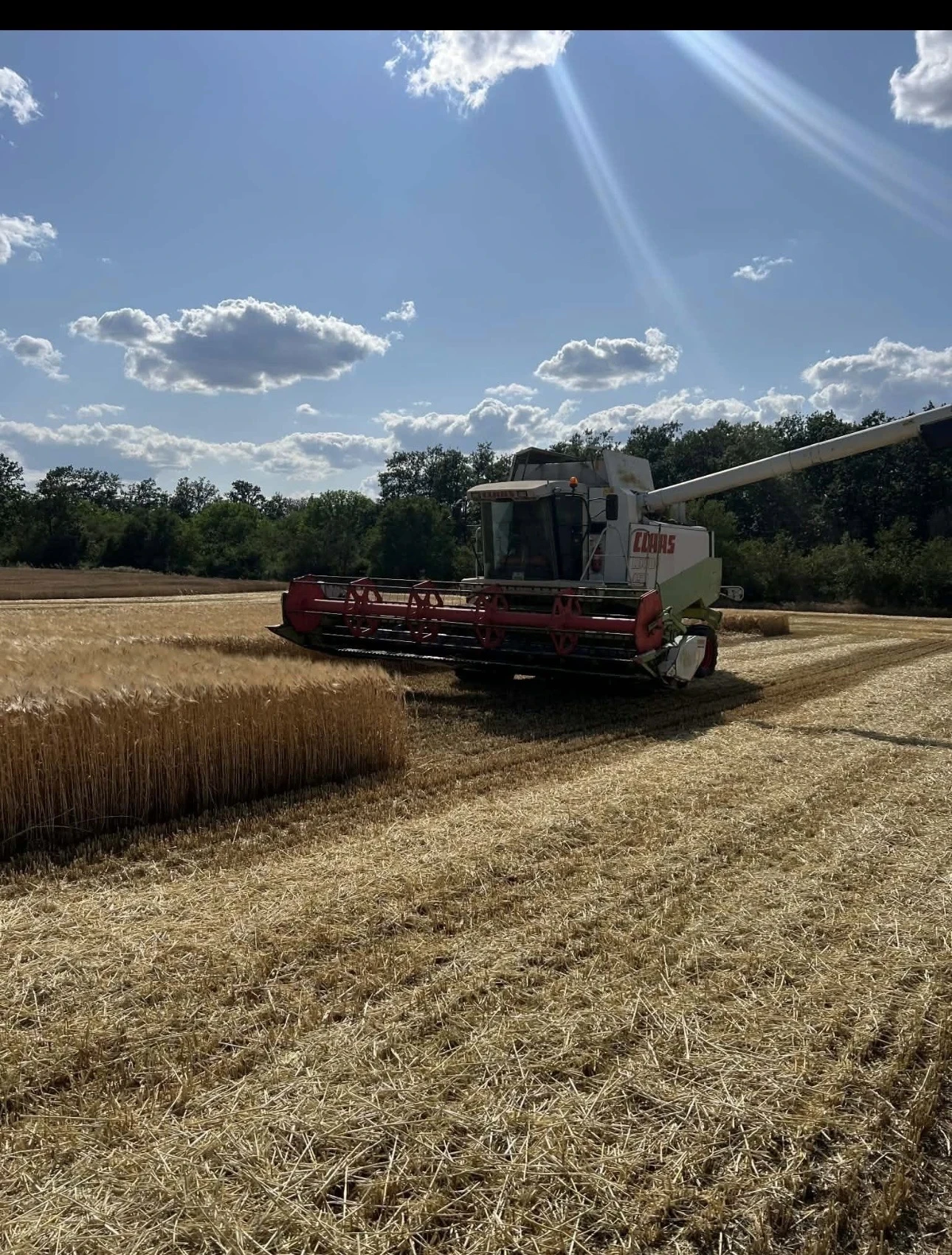 Комбайн Claas LEXION 450