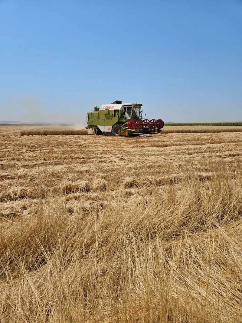 Комбайн Claas 106, снимка 6 - Селскостопанска техника - 50915532