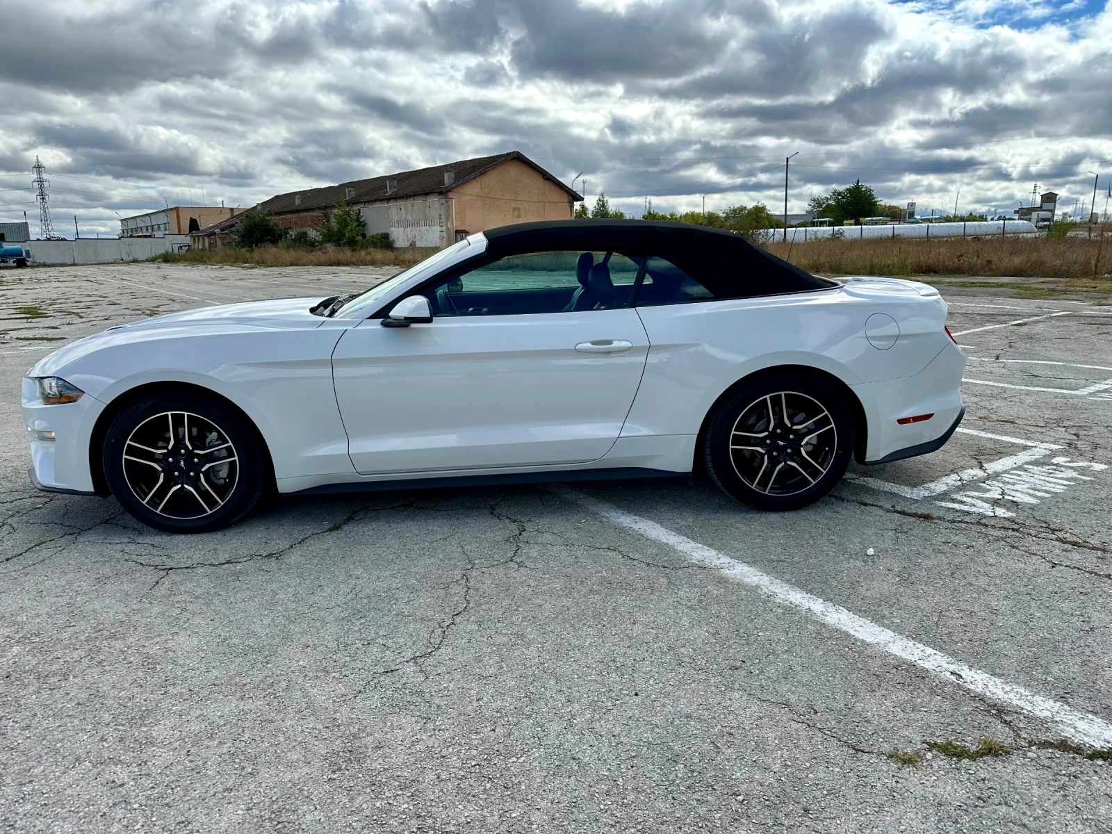 Ford Mustang FIFTY FIVE YEAR  - изображение 4