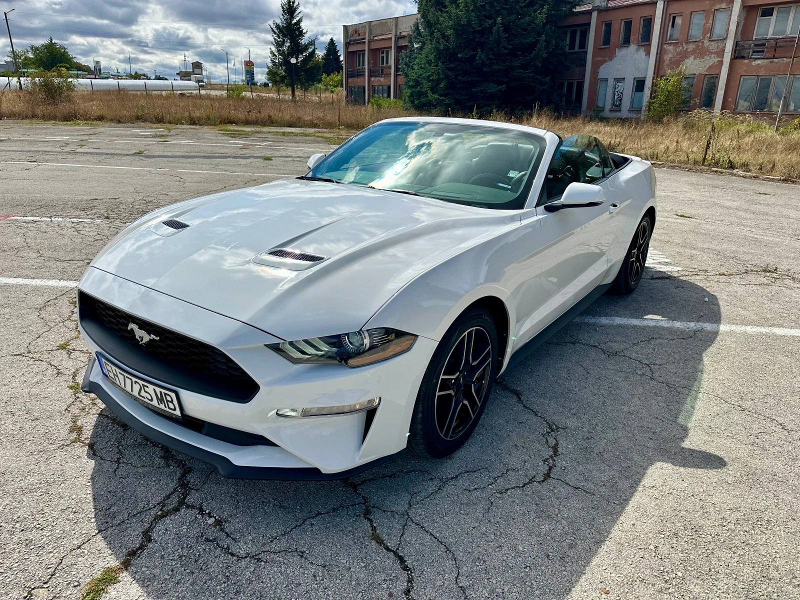 Ford Mustang FIFTY FIVE YEAR  - изображение 6