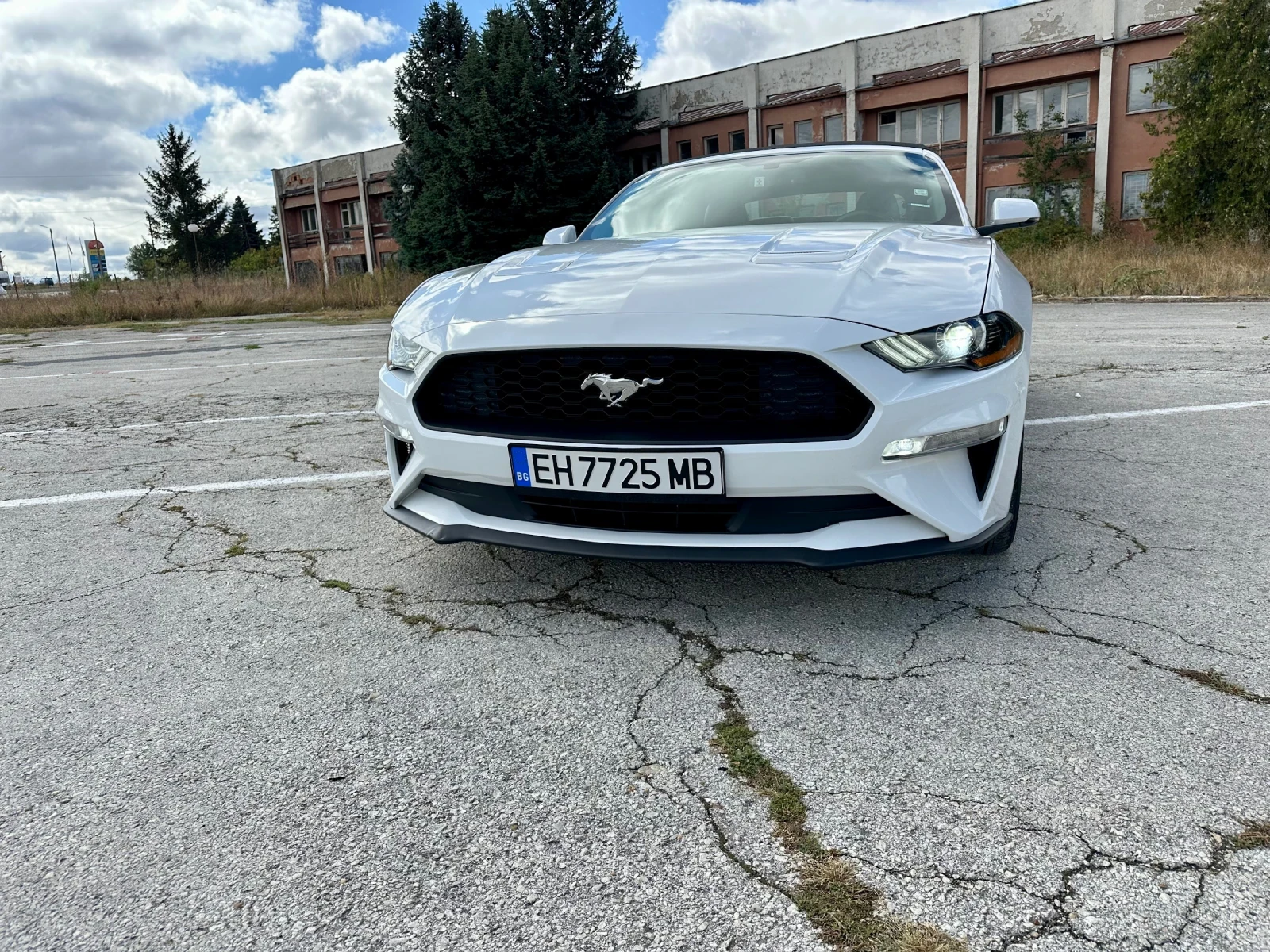 Ford Mustang FIFTY FIVE YEAR  - изображение 2