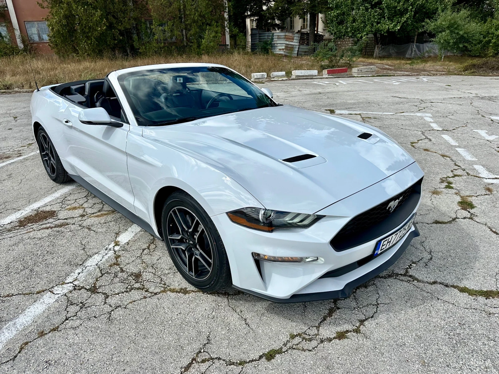 Ford Mustang FIFTY FIVE YEAR  - изображение 7