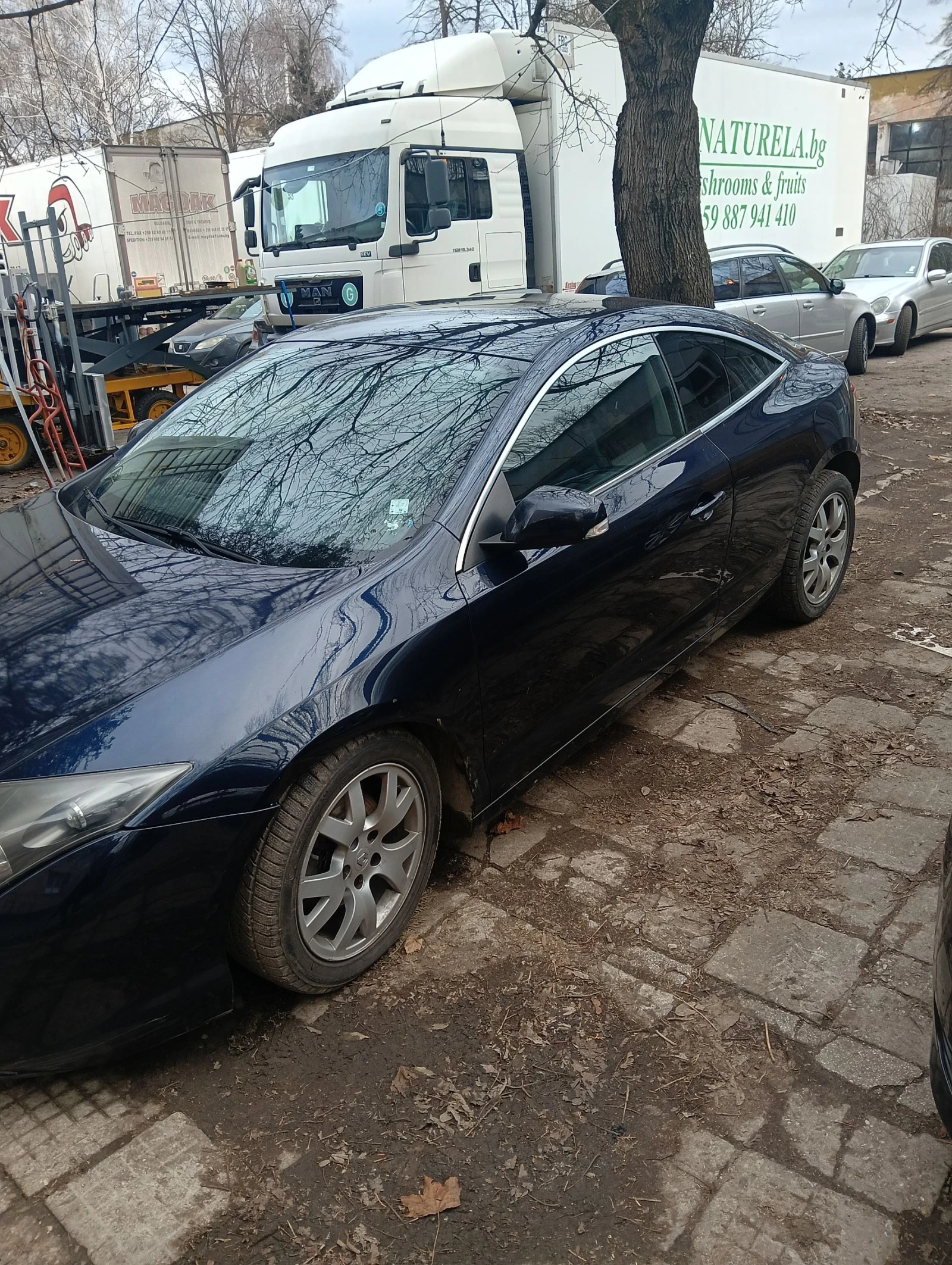 Renault Laguna Coupe | Mobile.bg � ����������� 13