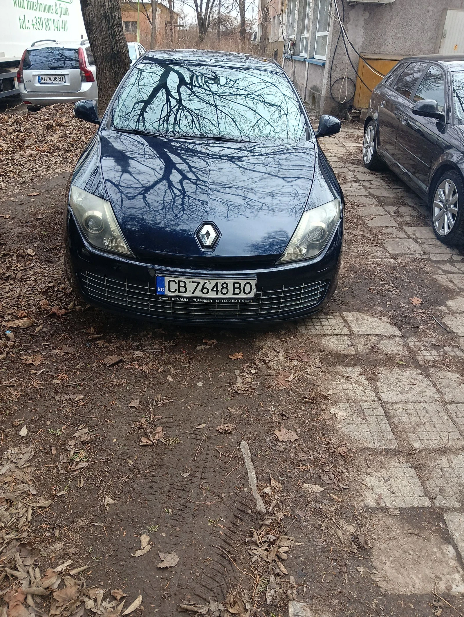 Renault Laguna Coupe | Mobile.bg � ����������� 1