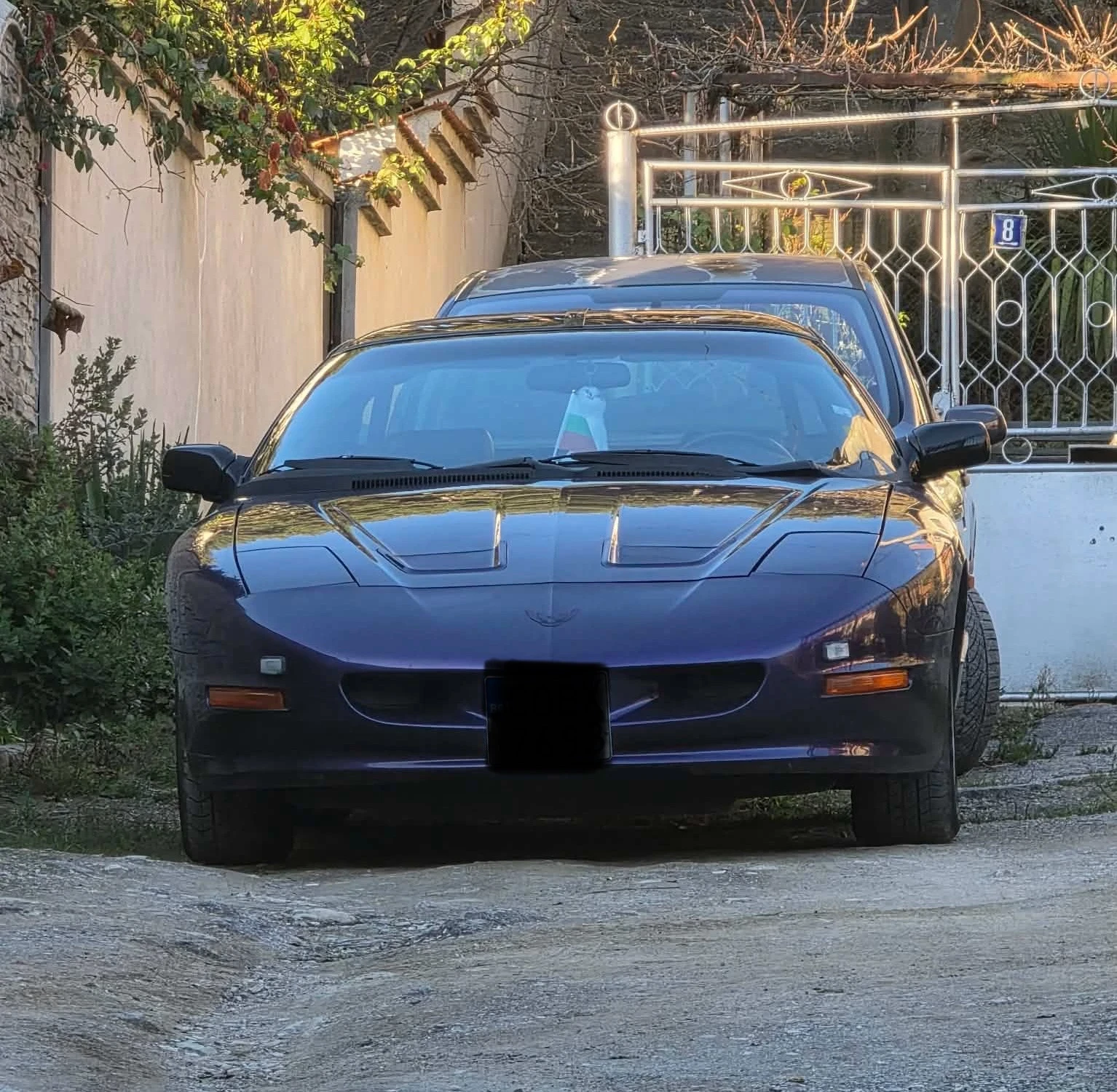 Pontiac Firebird 3.2 - изображение 2