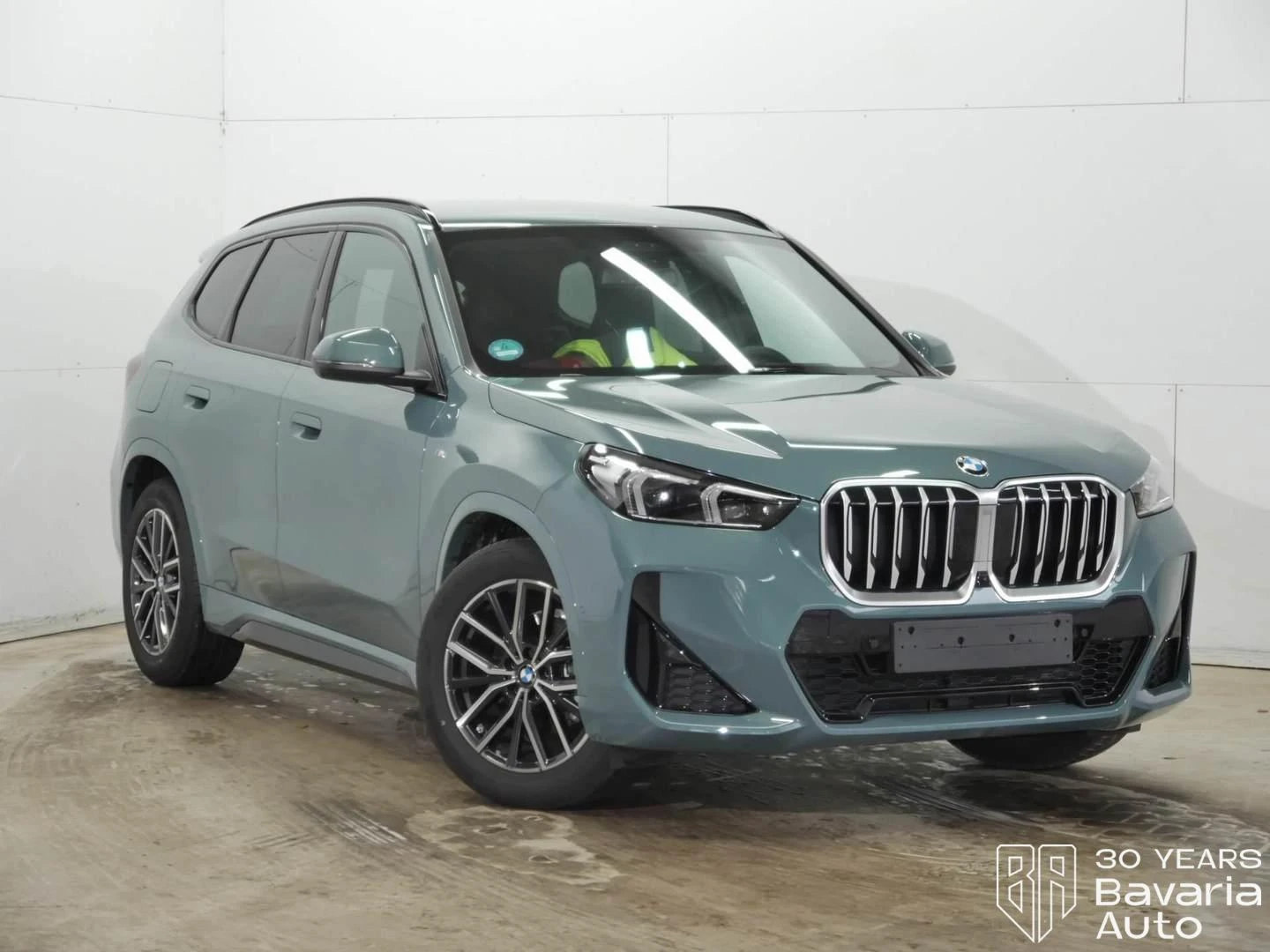 BMW X1 20d xDrive M Sport Paket Steptronic - изображение 4