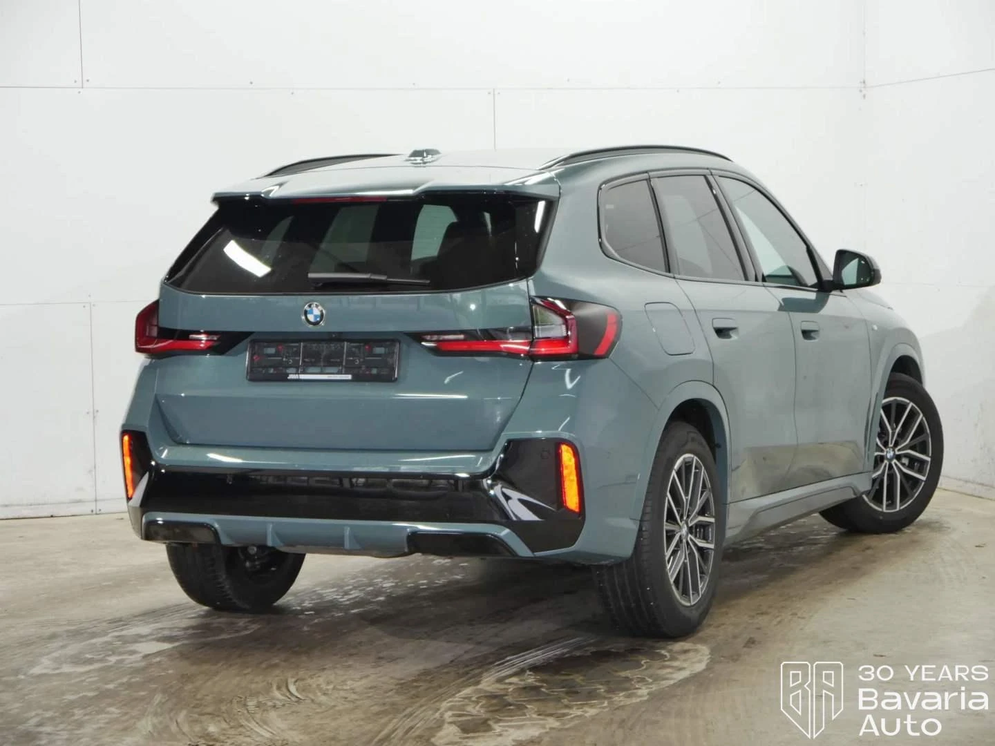 BMW X1 20d xDrive M Sport Paket Steptronic - изображение 3