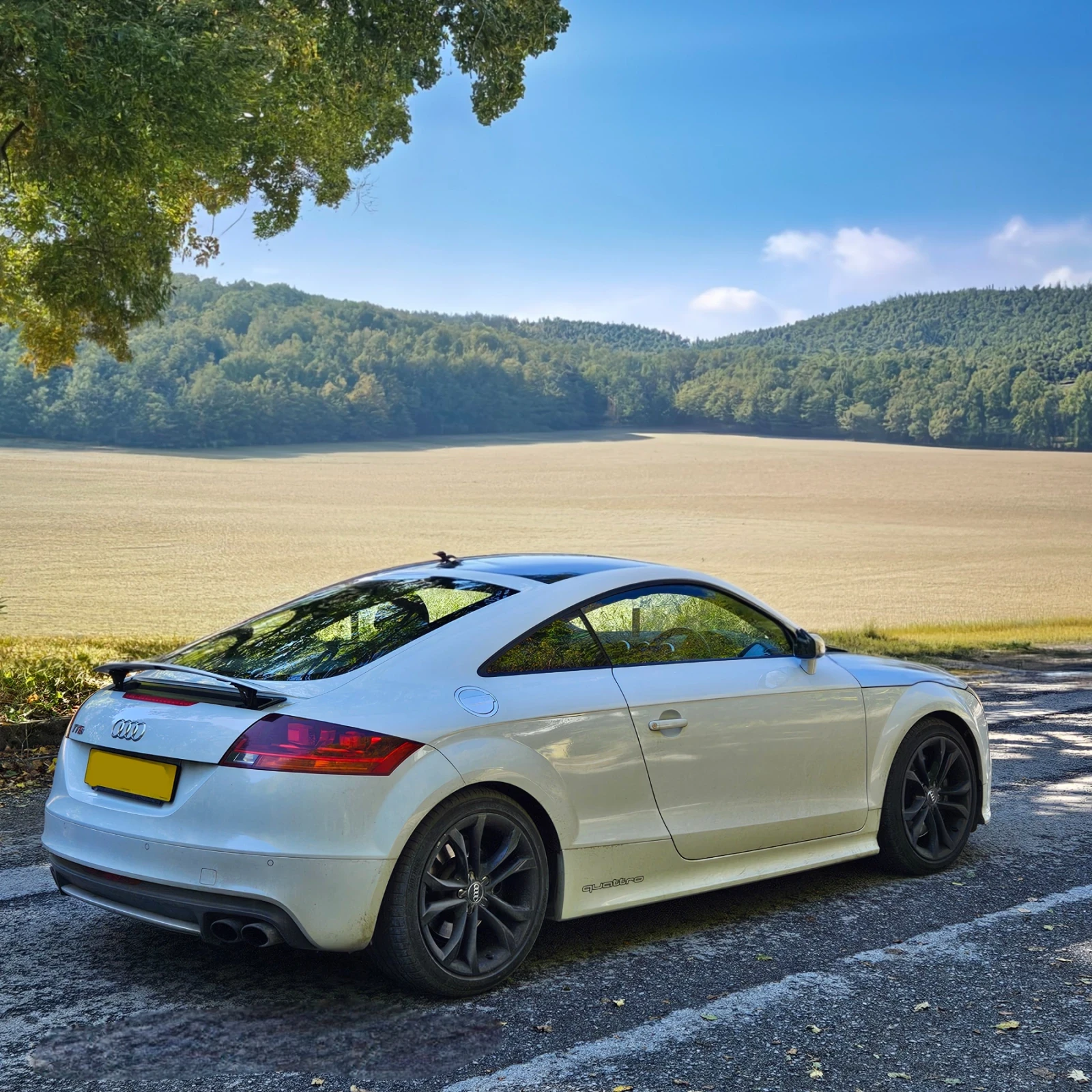 Audi Tt 2.0 TFSI - изображение 5