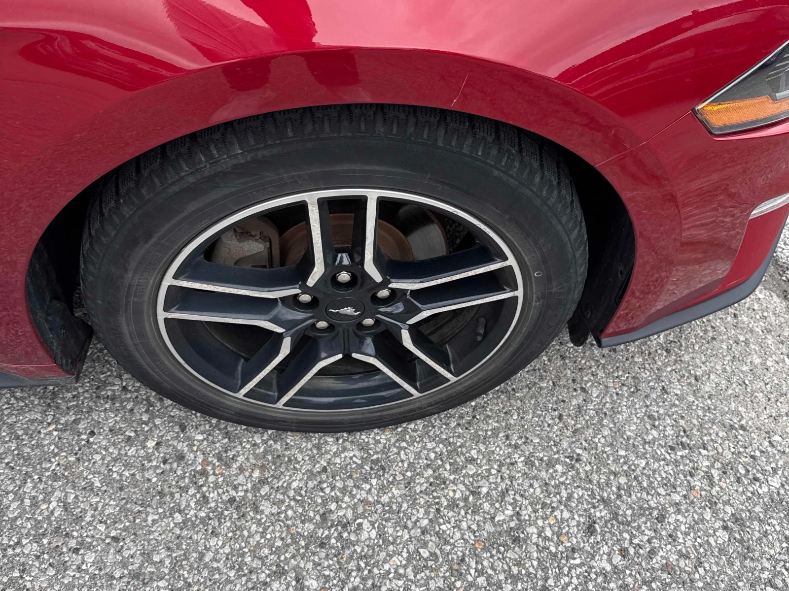 Ford Mustang * EcoBoost * CARFAX * ОПЦИЯ ЗА ФИНАНСИРАНЕ , снимка 7 - Автомобили и джипове - 55987903