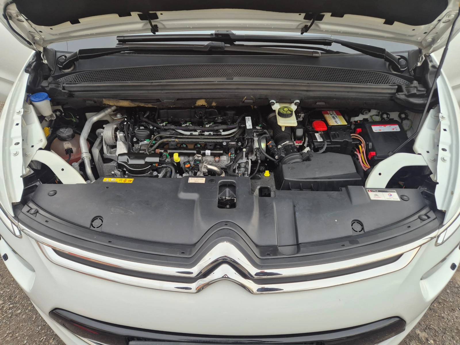 Citroen C4 Picasso 2.0HDI/UMBRELLA | Mobile.bg   15