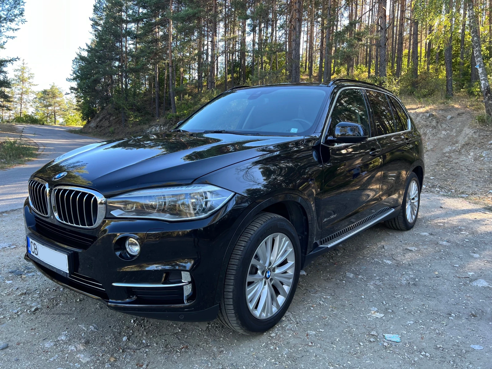 BMW X5 xDrive 30d Pure Excellence