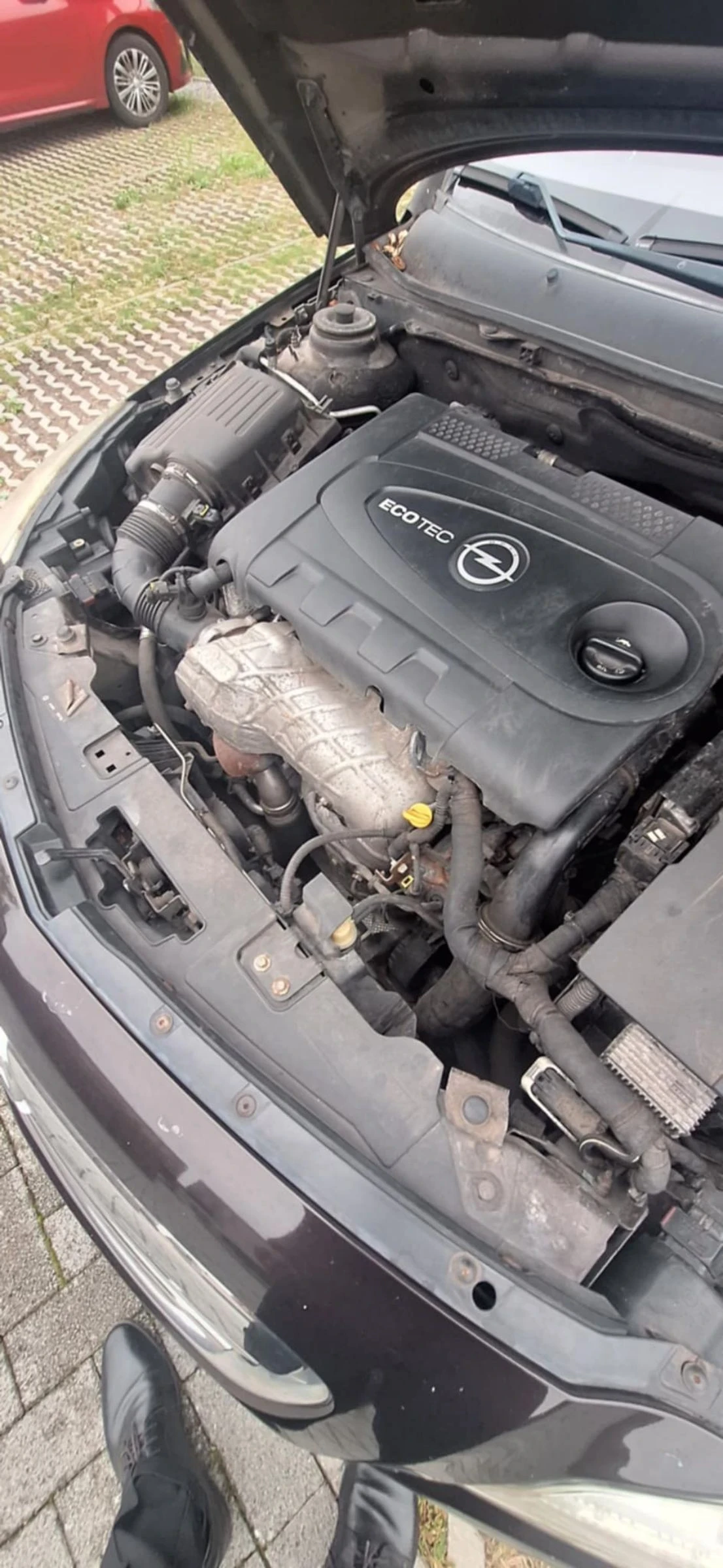 Opel Insignia  - изображение 5