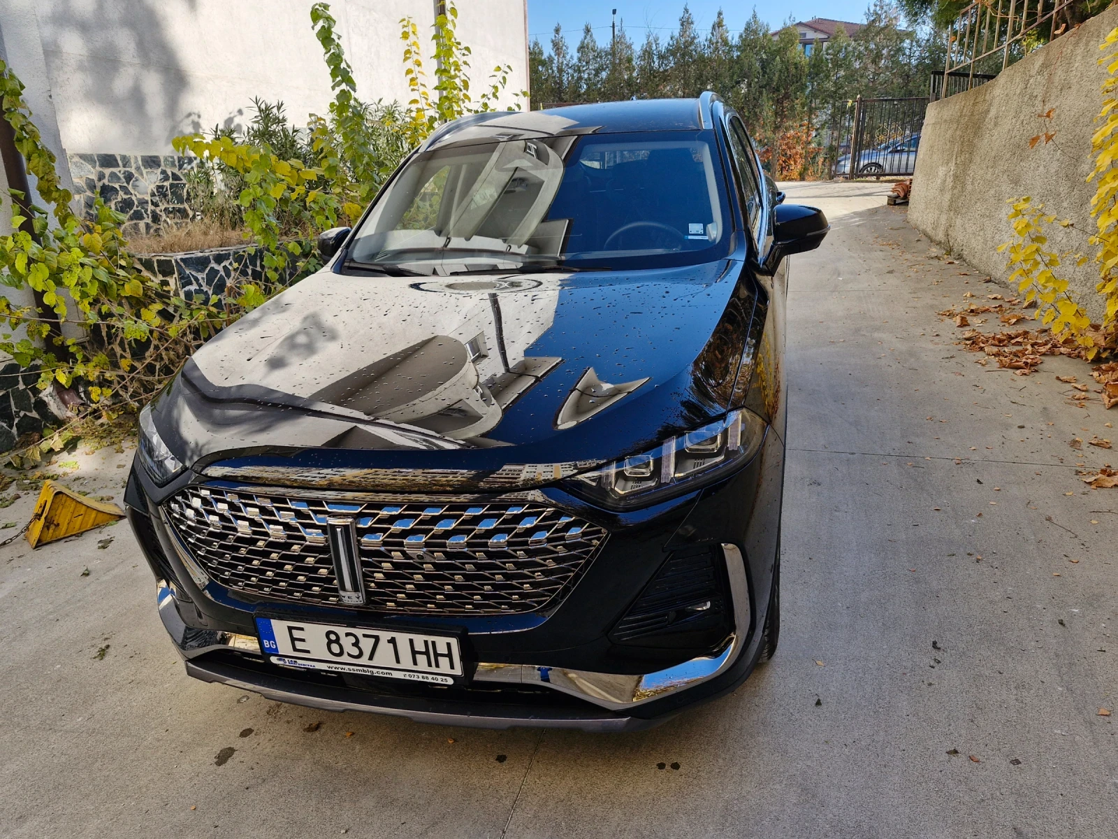 Wey 03 Luxury , снимка 1