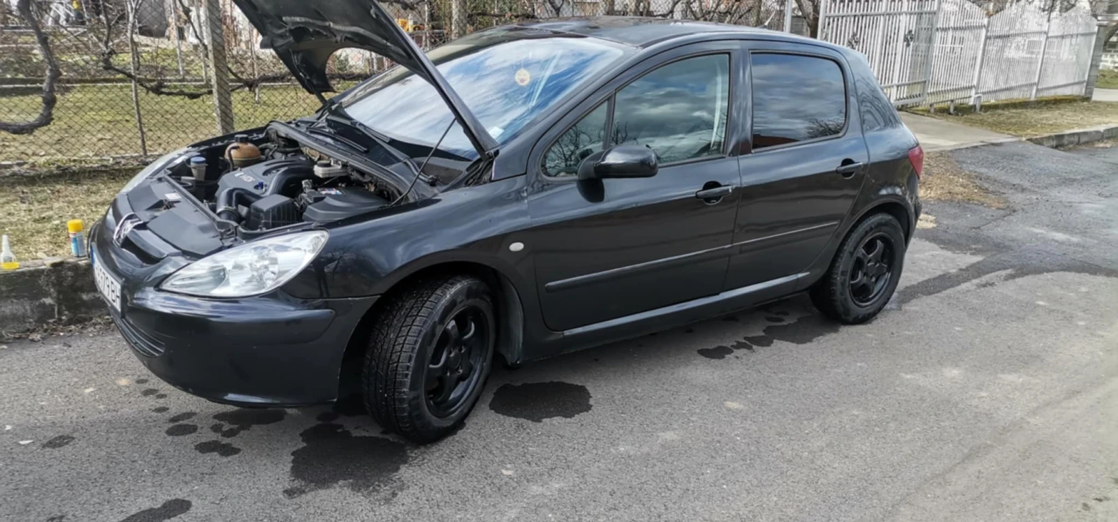 Peugeot 307 2.0 HDI - изображение 3