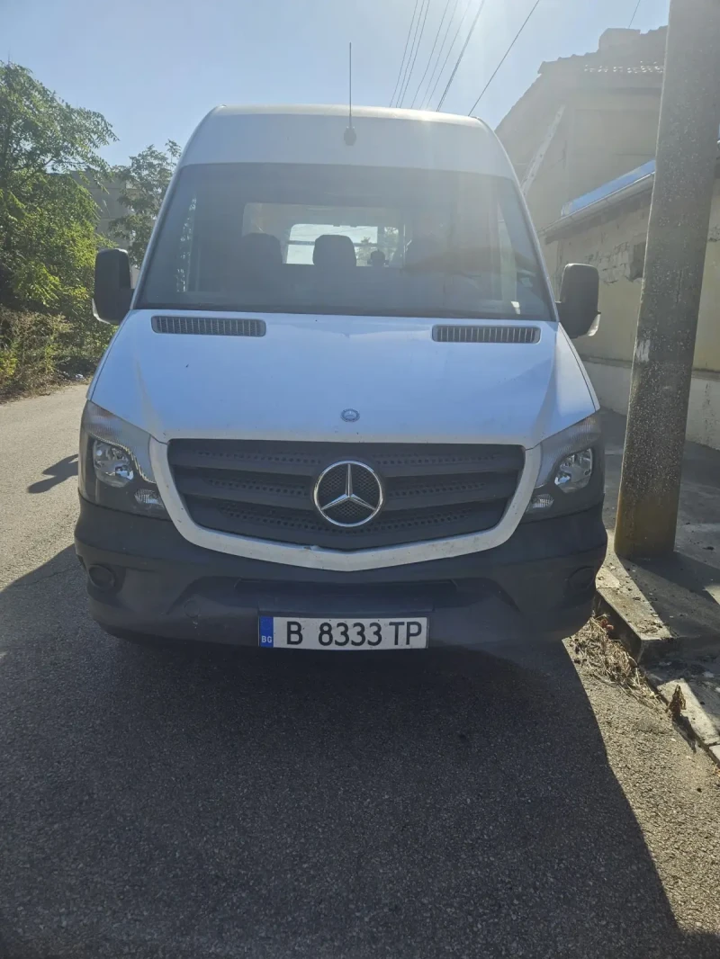 Mercedes-Benz Sprinter 316, снимка 1 - Бусове и автобуси - 46987011