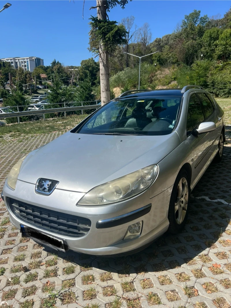 Peugeot 407 SW комби, снимка 2 - Автомобили и джипове - 52450541