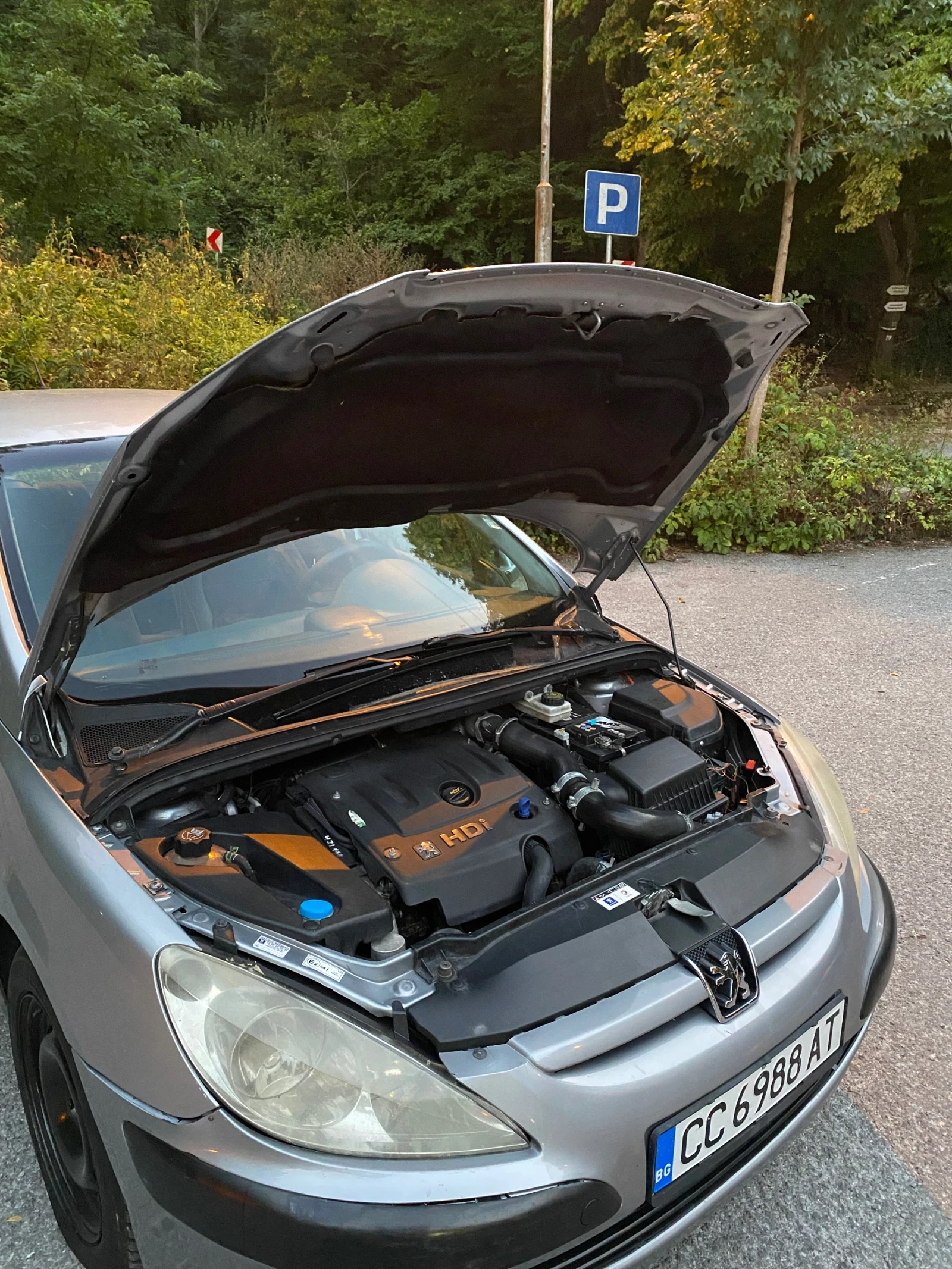 Peugeot 307, снимка 8 - Автомобили и джипове - 55989071