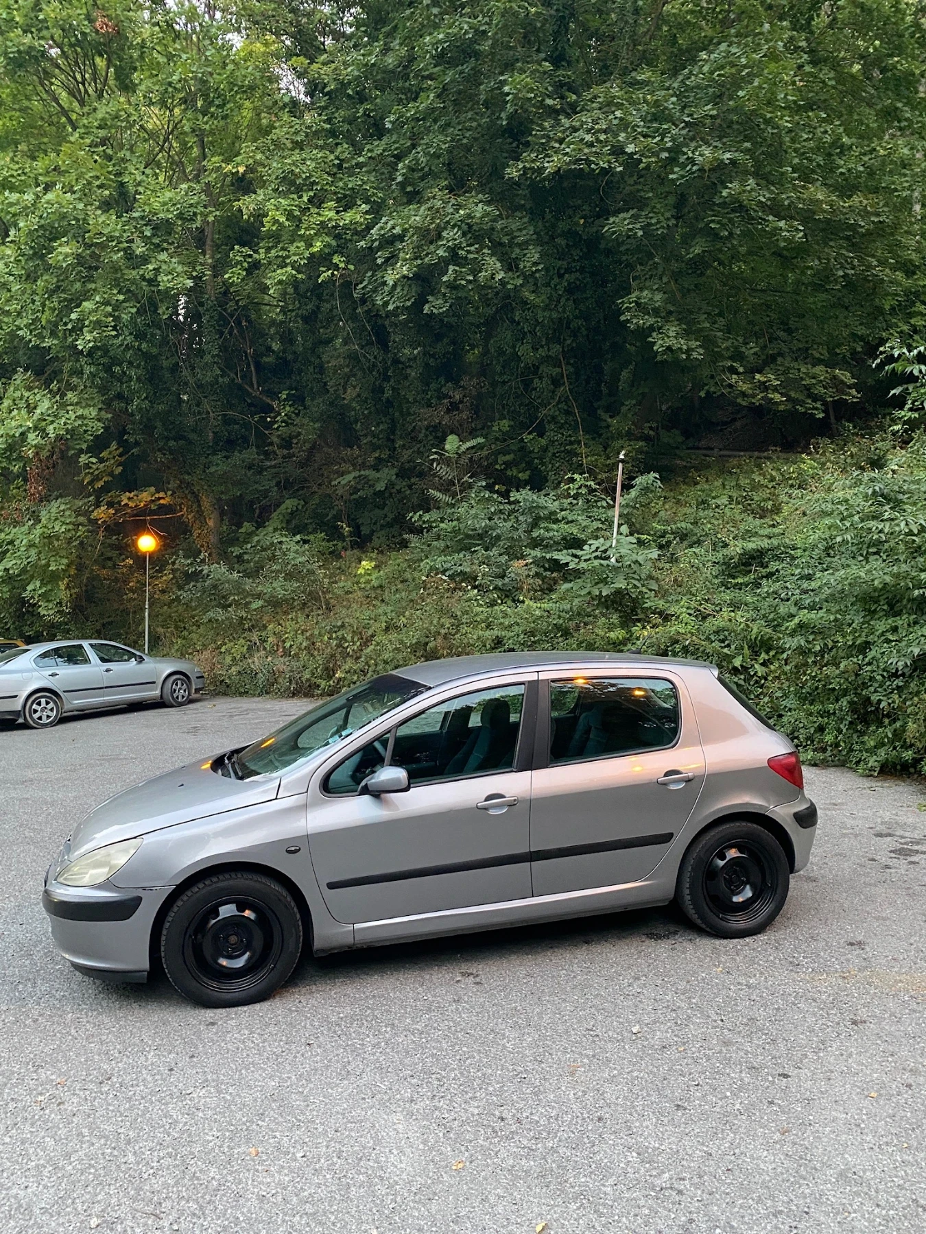 Peugeot 307, снимка 4 - Автомобили и джипове - 55989071