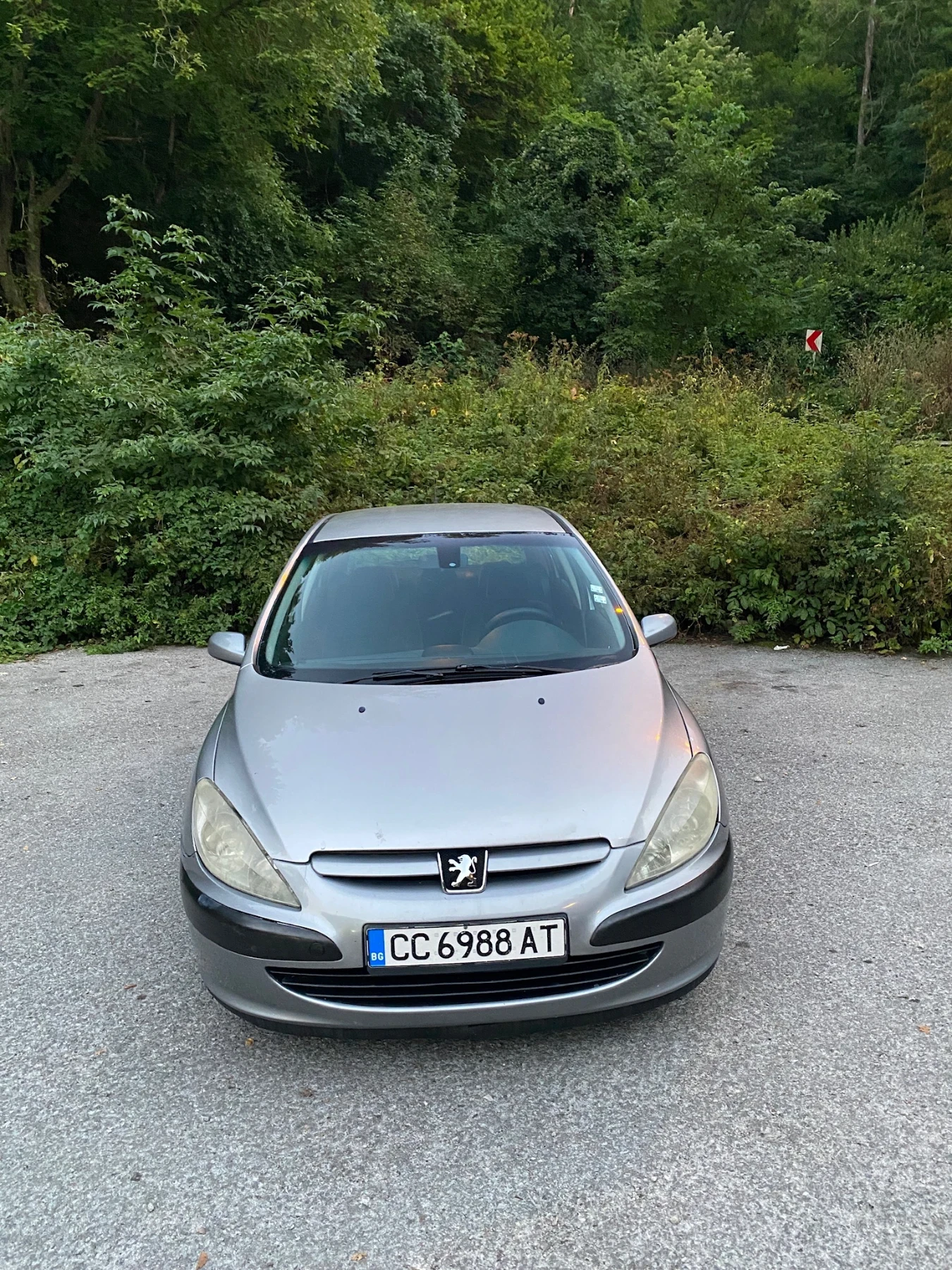 Peugeot 307, снимка 2 - Автомобили и джипове - 55989071