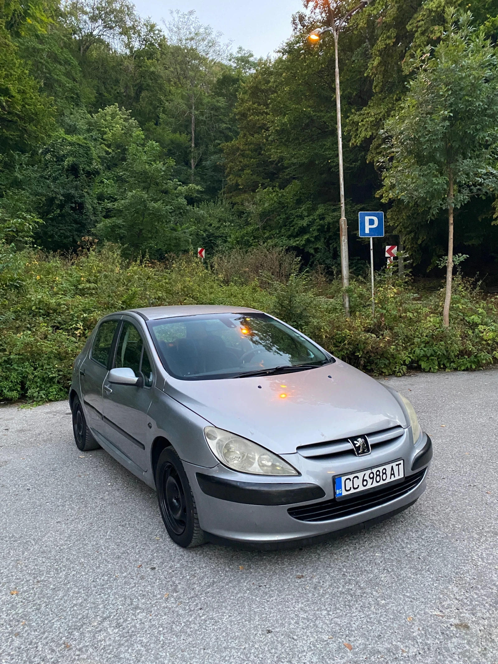 Peugeot 307, снимка 3 - Автомобили и джипове - 55989071