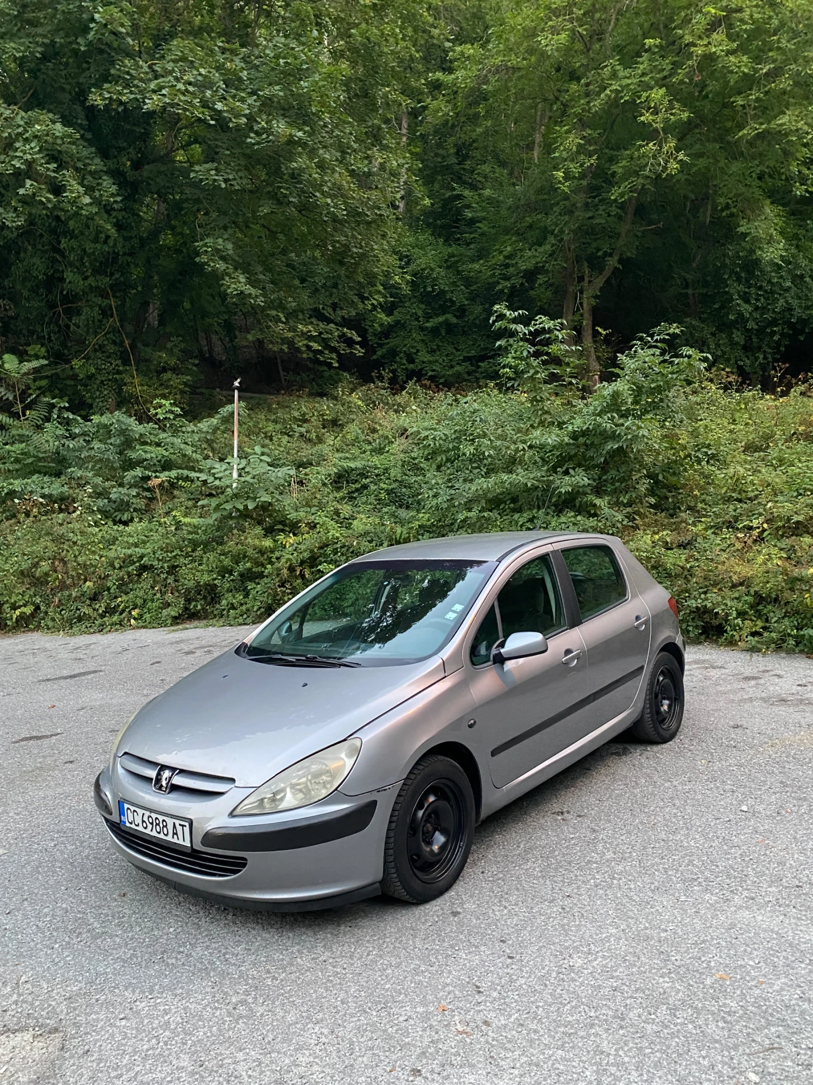 Peugeot 307