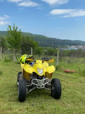     Suzuki QuadSport