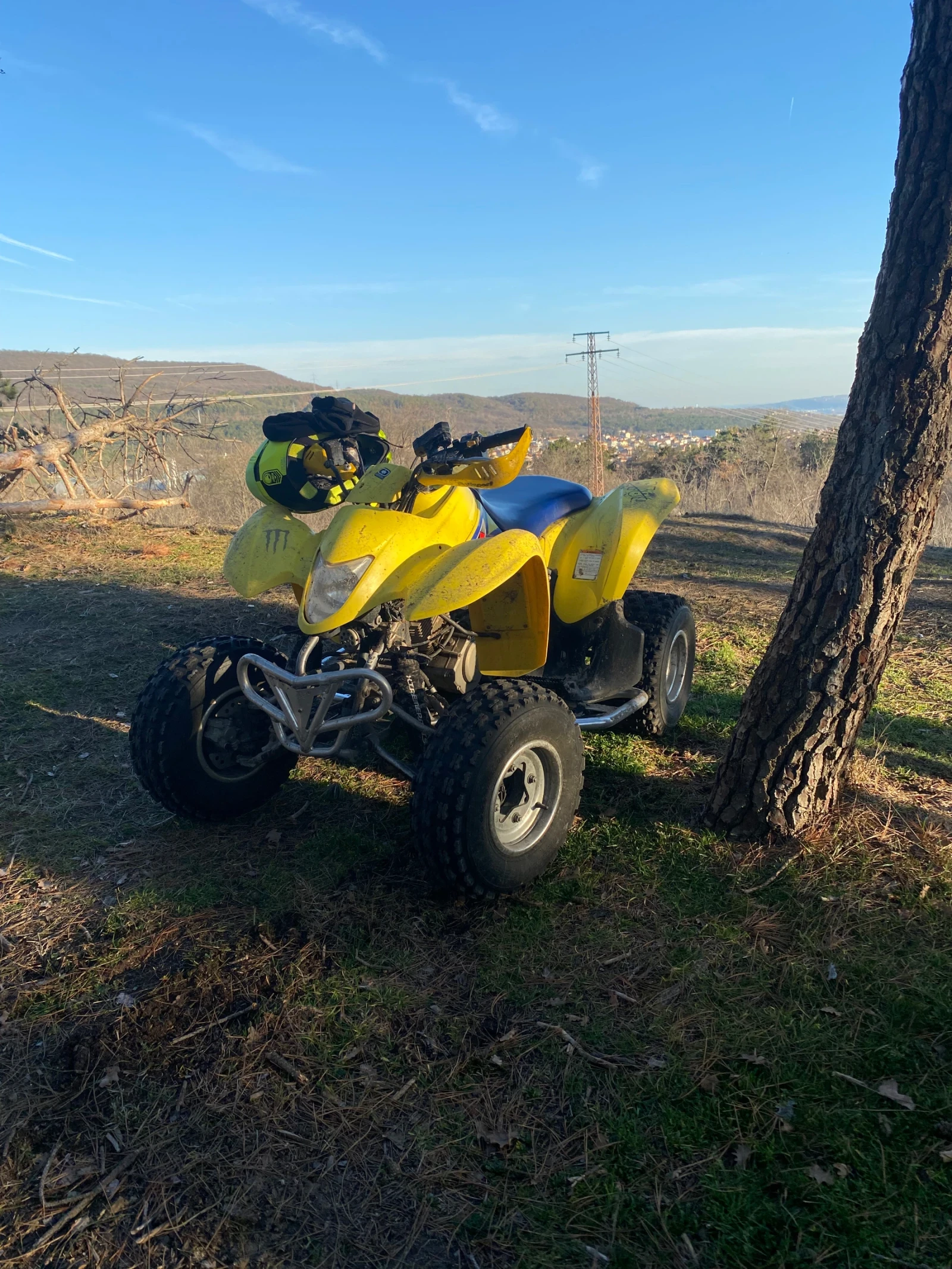 Suzuki QuadSport  - изображение 2