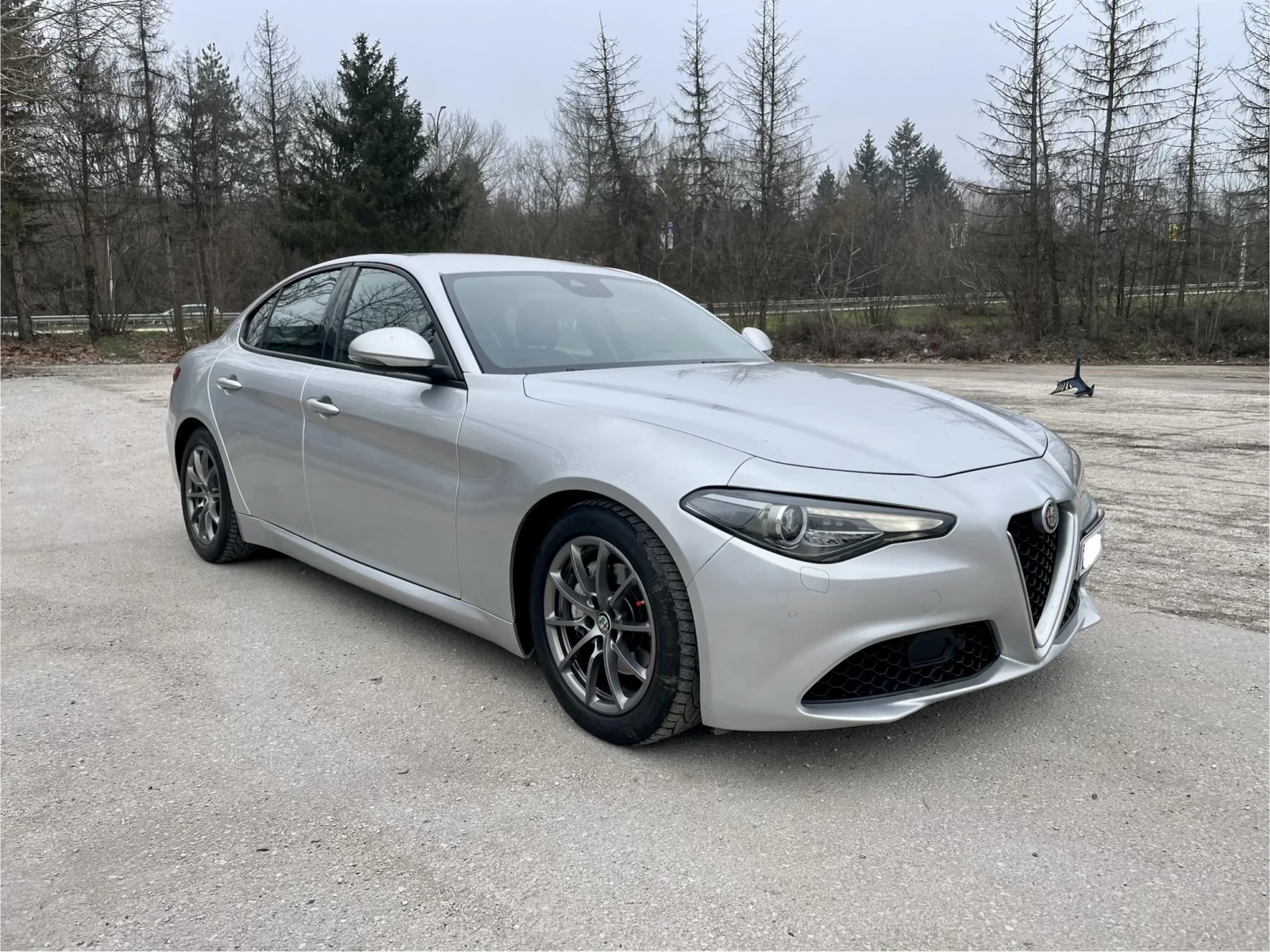 Alfa Romeo Giulia, снимка 4 - Автомобили и джипове - 54111639