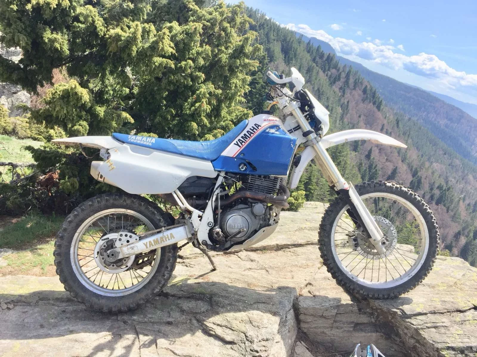 Yamaha Tt 600s - изображение 7