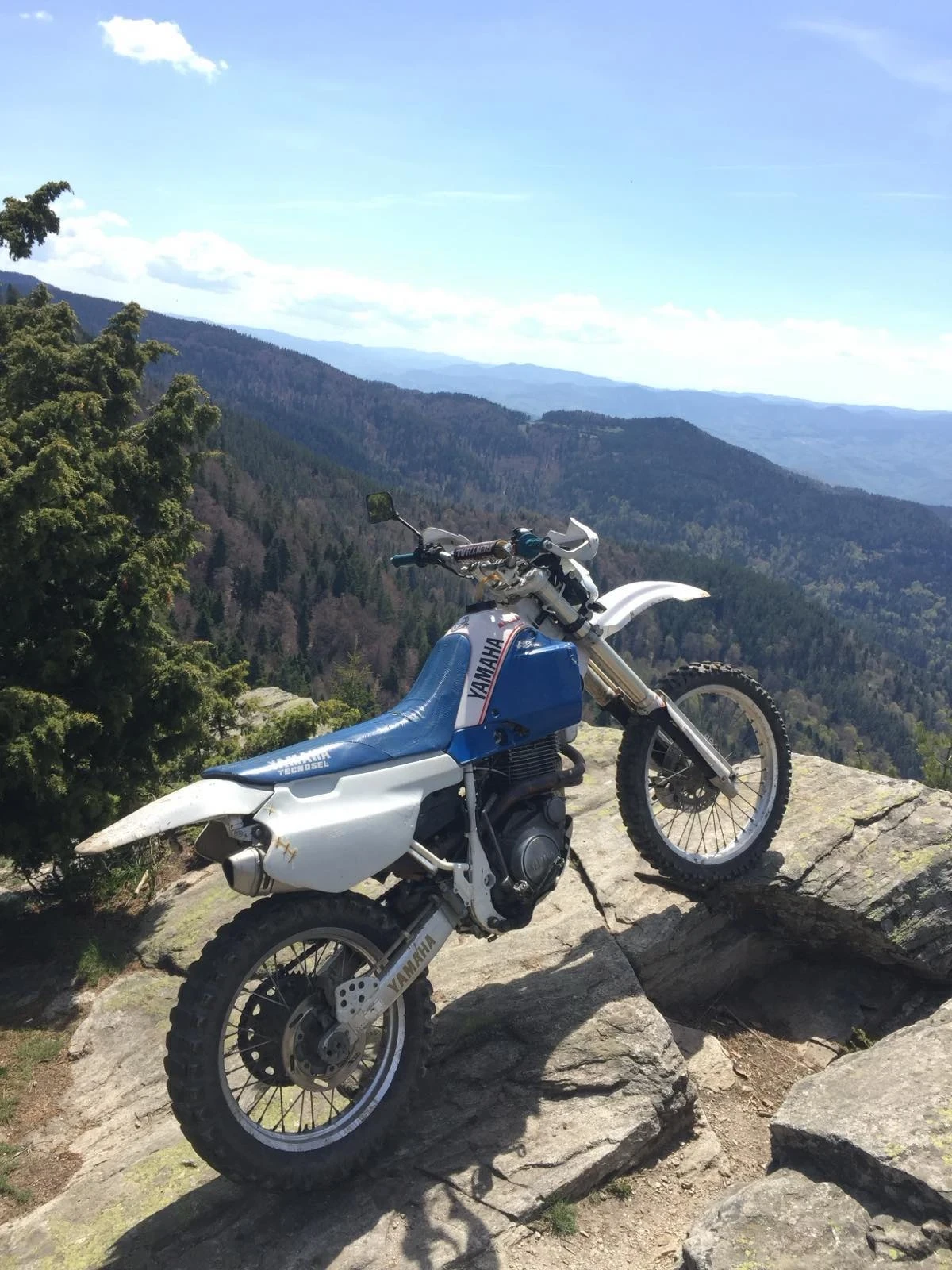 Yamaha Tt 600s - изображение 5