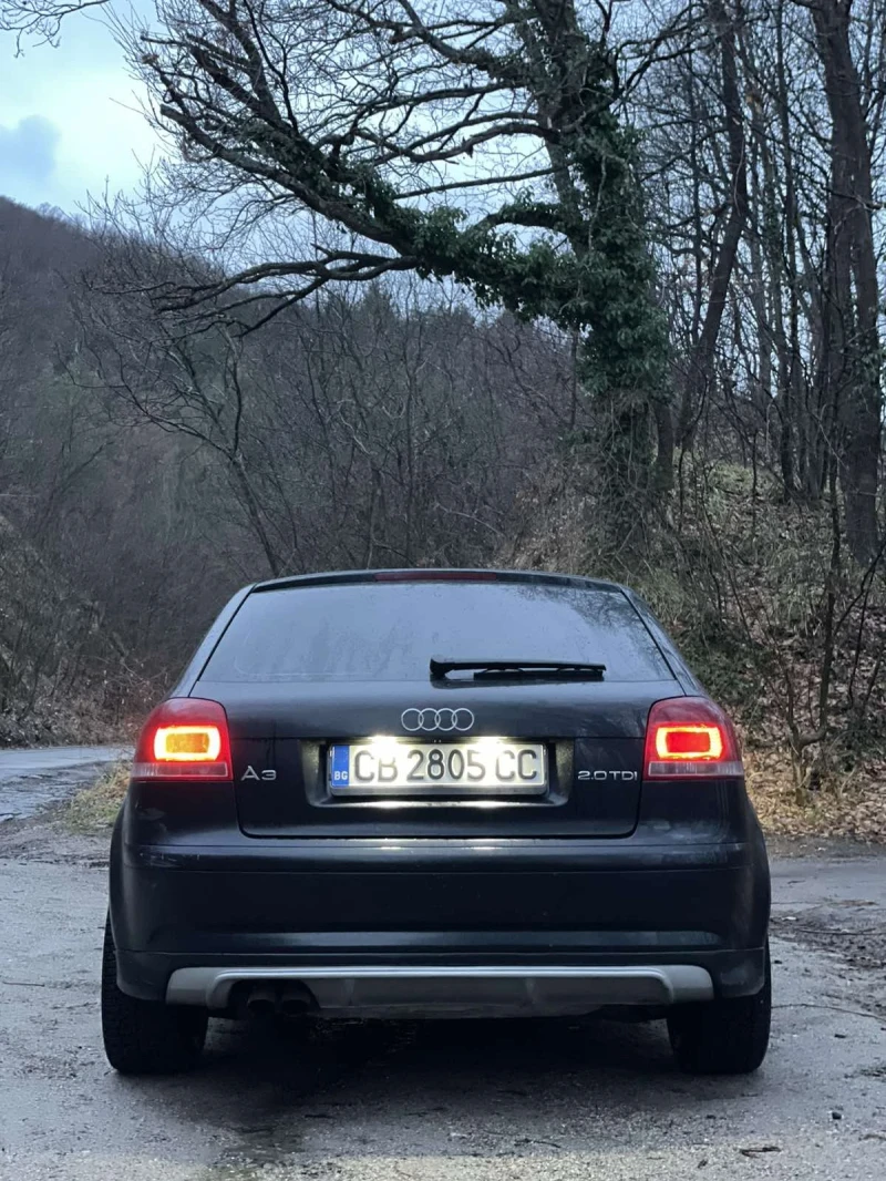 Audi A3 8P, снимка 5 - Автомобили и джипове - 53406802