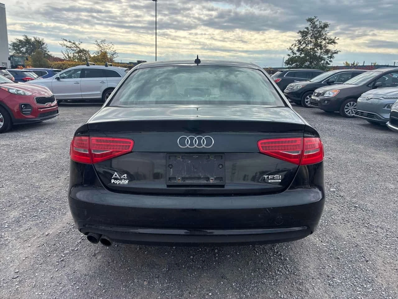 Audi A4 Progressiv / CARFAX / ���������� /���� �� �������� | Mobile.bg � ����������� 5