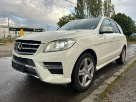     Mercedes-Benz ML 250 CDI/AMG/EURO5B 