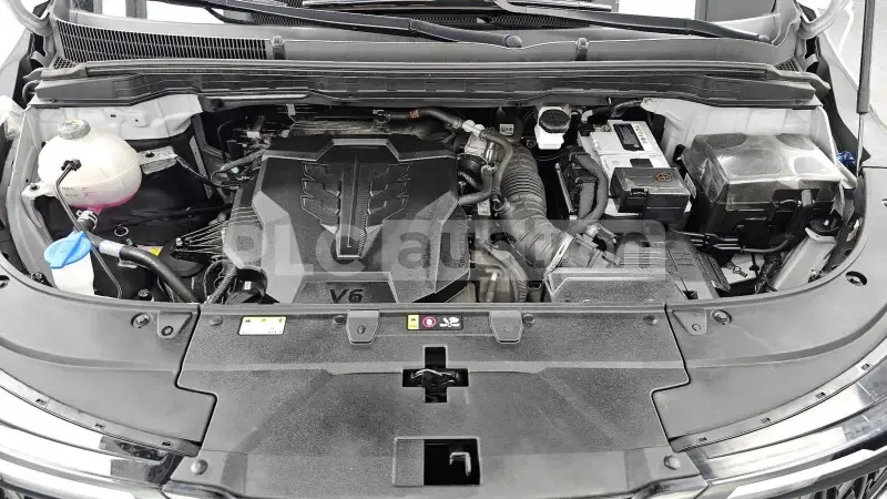 Kia Carnival ЦЕНА до БГ, снимка 6 - Автомобили и джипове - 55478354