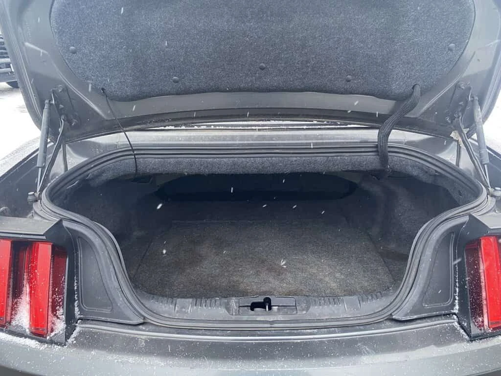 Ford Mustang * EcoBoost Premium * CARFAX * ЦЕНА ДО БГ, снимка 11 - Автомобили и джипове - 53921823