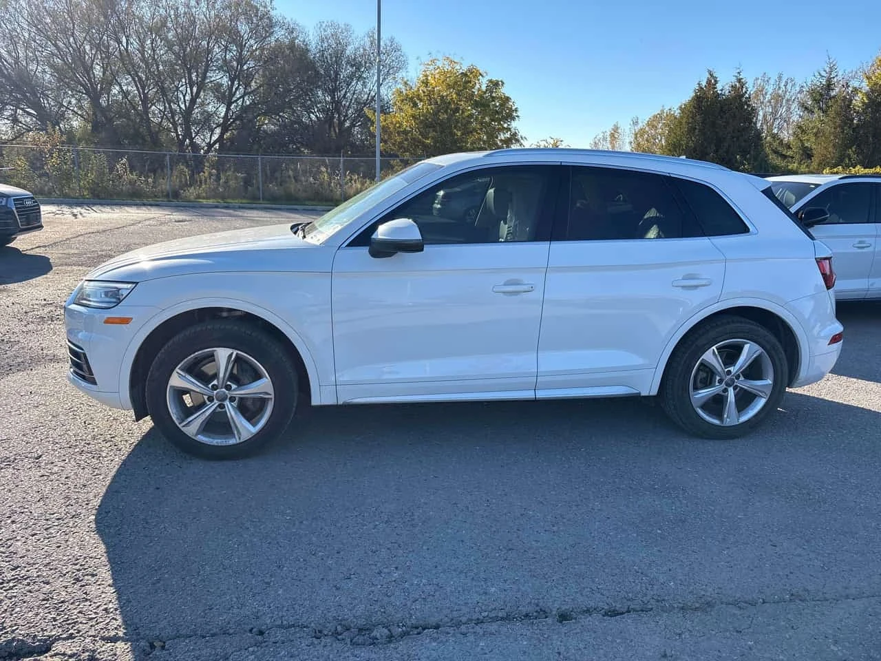 Audi Q5 * Progressiv * CARFAX * , снимка 2 - Автомобили и джипове - 56613678