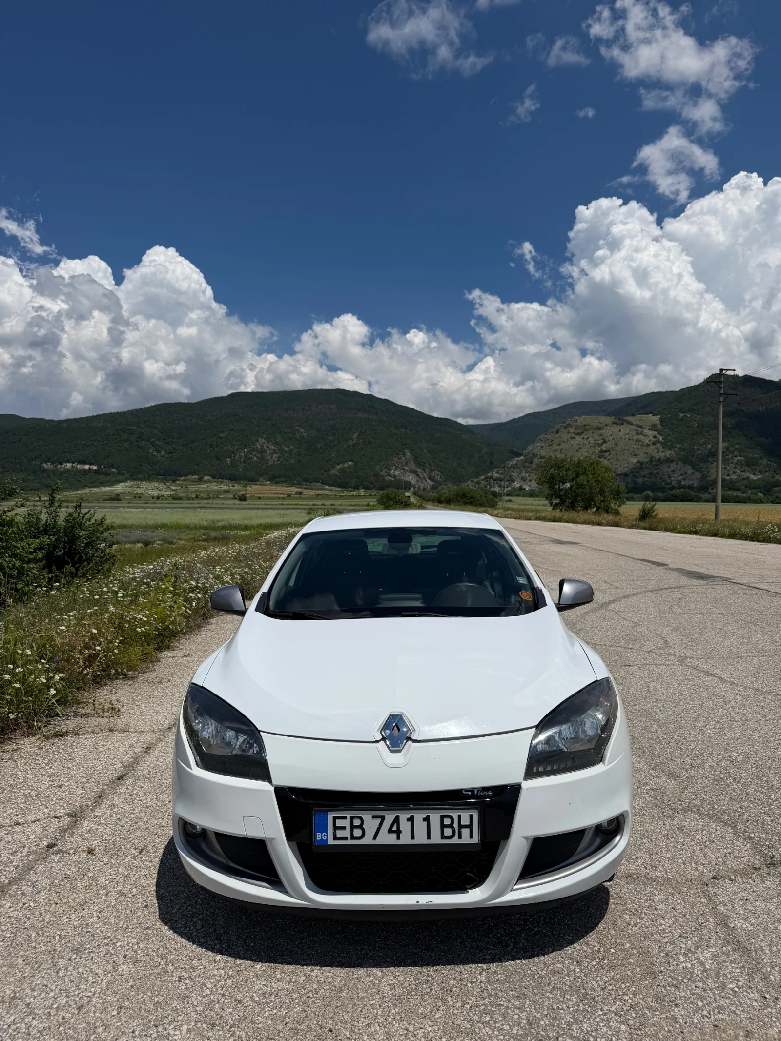Renault Megane, снимка 2 - Автомобили и джипове - 55129489