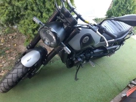 Benelli Cafe Racer 500 ABS /35kw /A2, снимка 12