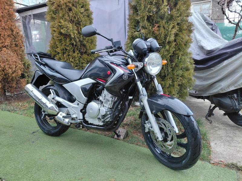 Benelli Cafe Racer 500 ABS /35kw /A2, снимка 16 - Мотоциклети и мототехника - 53399828