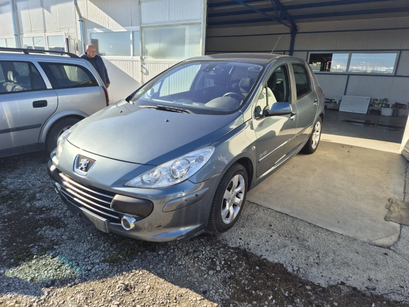 Peugeot 307 1.6, снимка 1 - Автомобили и джипове - 48061029