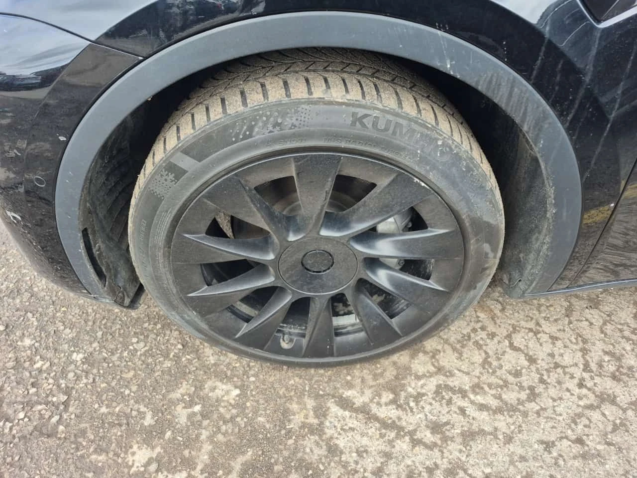 Tesla Model Y  | LONG RANGE | DUAL MOTOR | 4X4 | CARFAX | , снимка 6 - Автомобили и джипове - 54125202