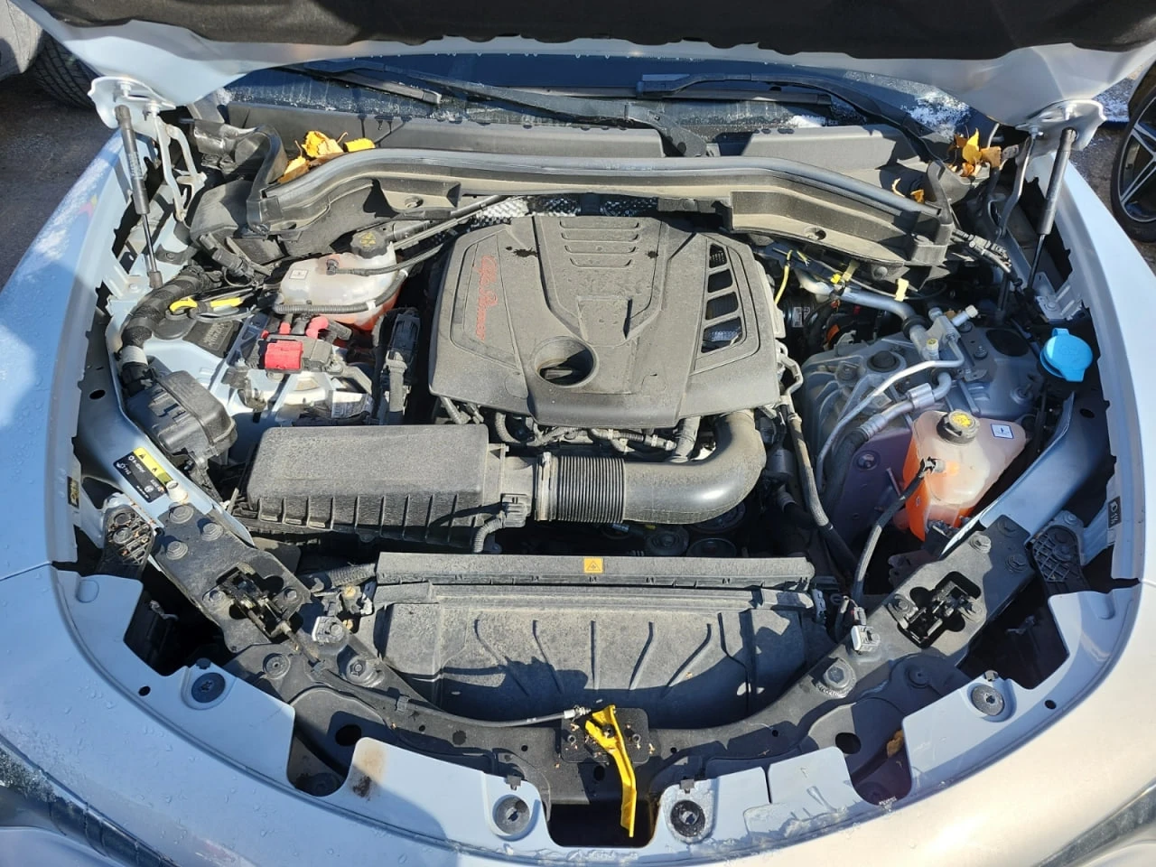 Alfa Romeo Stelvio CARFAX* ��������������� ��� ������������ ������ | Mobile.bg � ����������� 11