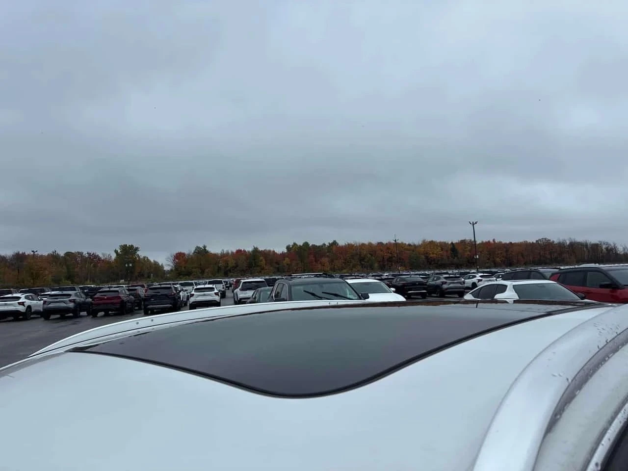 Audi Q3 | Mobile.bg � ����������� 6