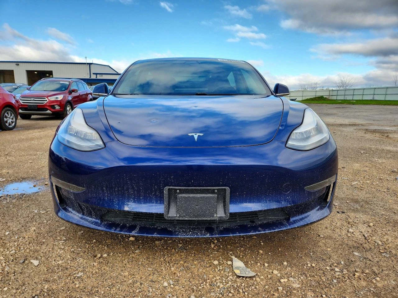 Tesla Model 3, снимка 5 - Автомобили и джипове - 54419039