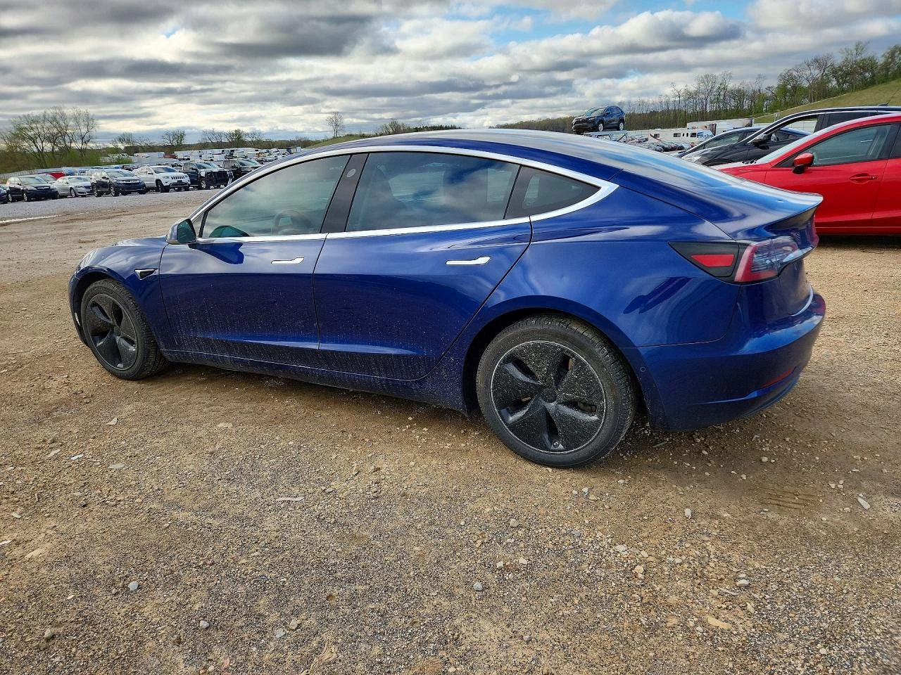 Tesla Model 3, снимка 2 - Автомобили и джипове - 54419039