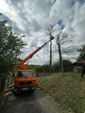  Ruthmann 230 | Mobile.bg    3