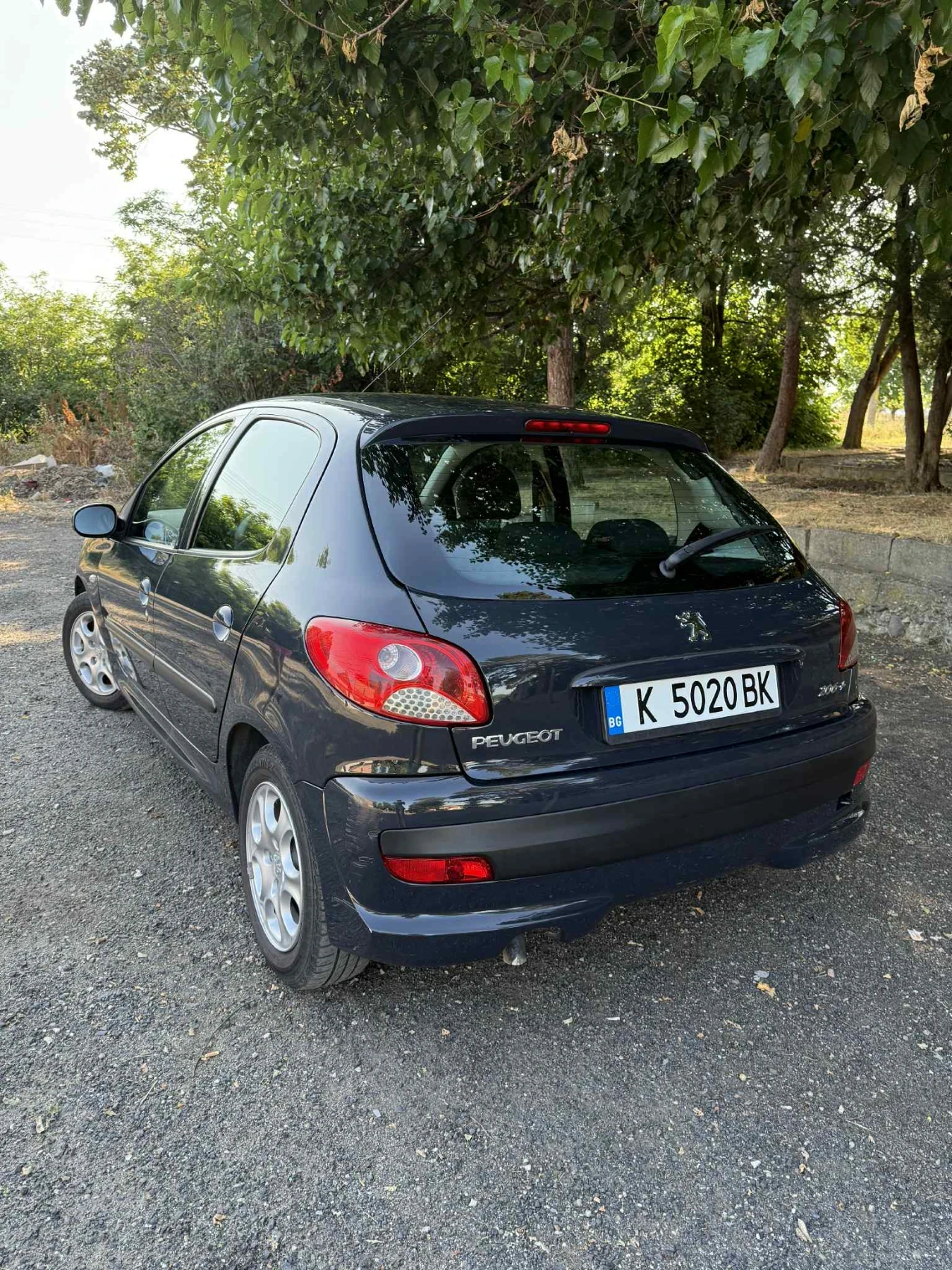 Peugeot 206 Plus - изображение 7